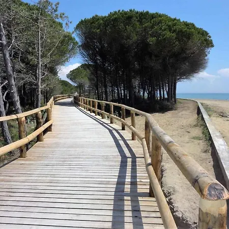 In 36468 Bibione